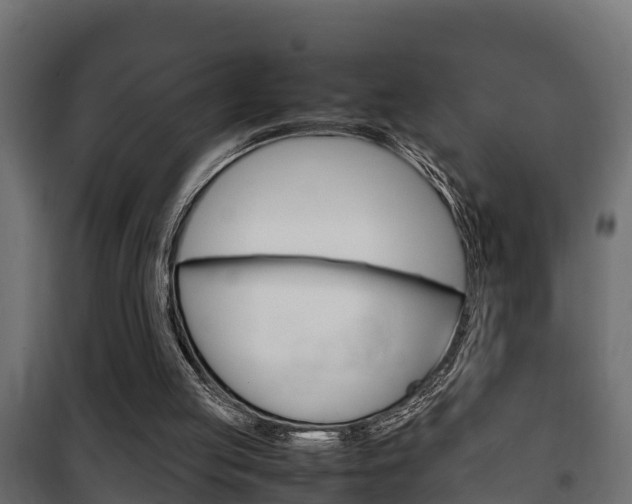 X0000102470053200808081019