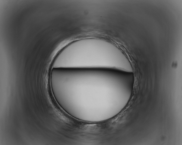 X0000102470054200808081019
