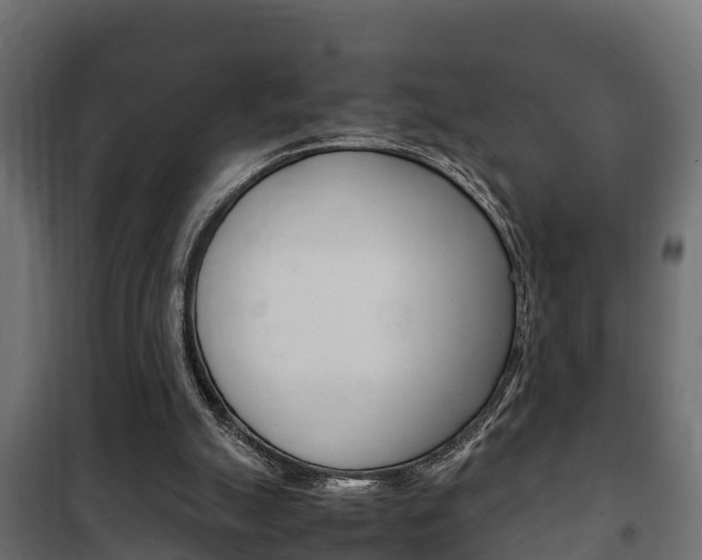 X0000102470055200808081019
