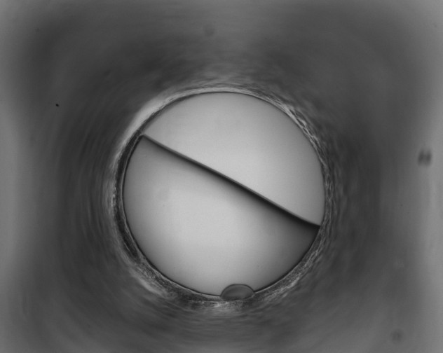 X0000102470056200808081019