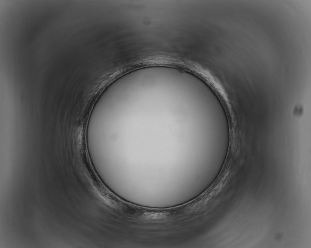 X0000102470057200808081019