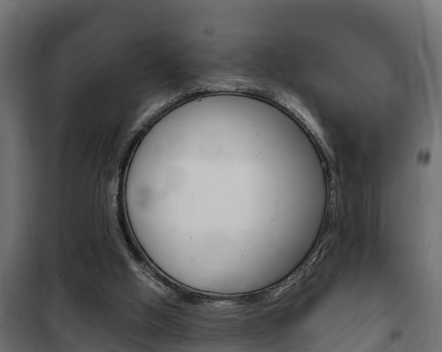 X0000102470058200808081019