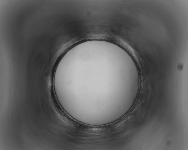 X0000102470059200808081019