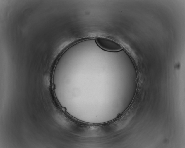 X0000102470060200808081019