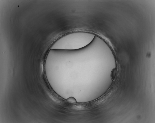 X0000102470061200808081019