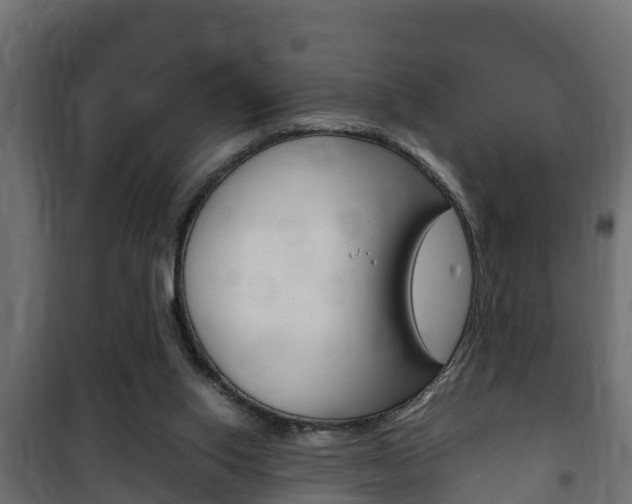 X0000102470062200808081019