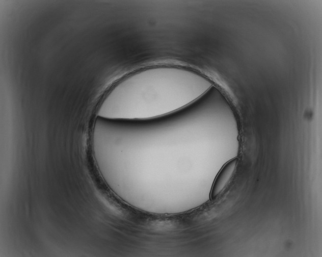 X0000102470063200808081019
