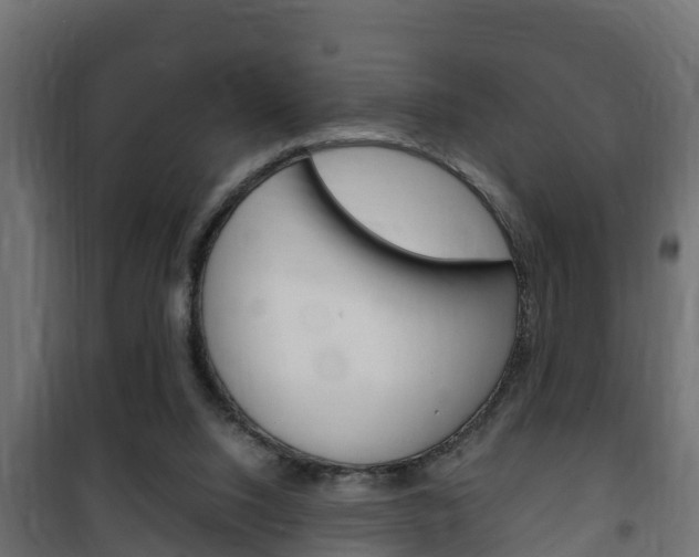 X0000102470064200808081019