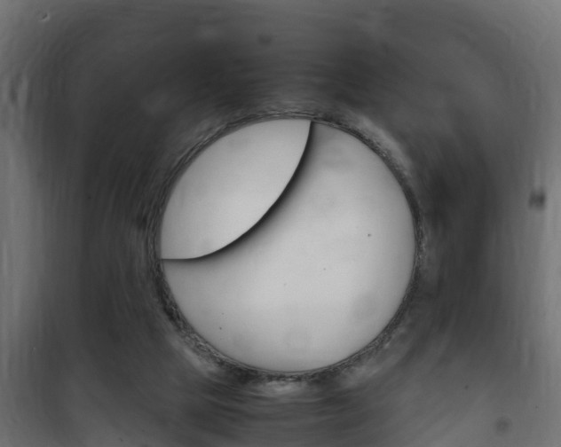 X0000102470065200808081019