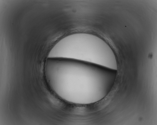 X0000102470066200808081019