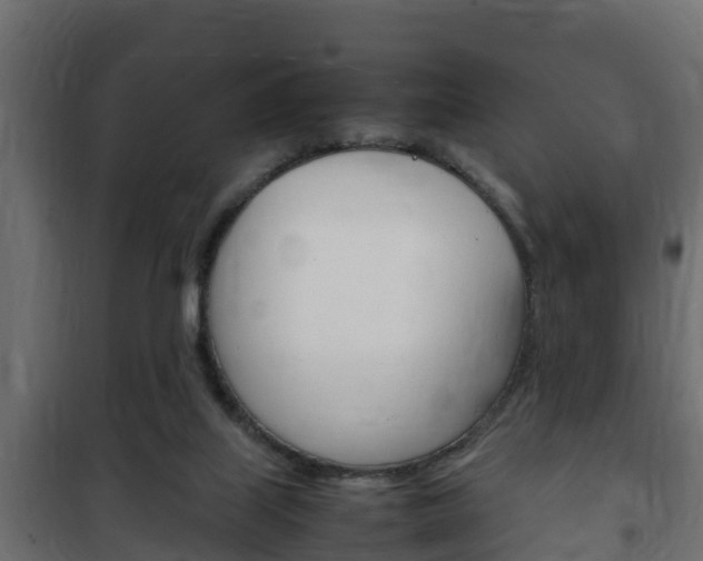 X0000102470067200808081019