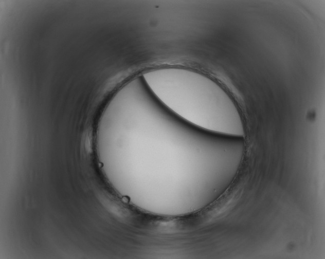 X0000102470068200808081019