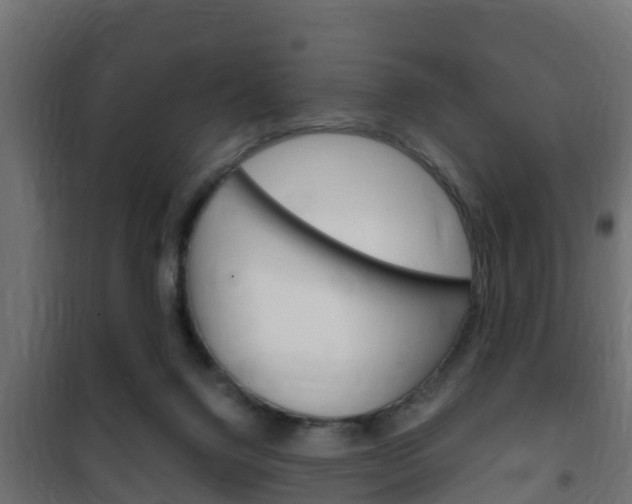 X0000102470072200808081019