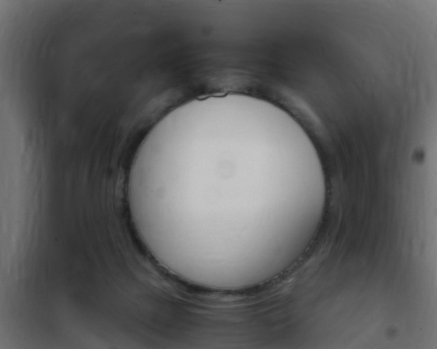 X0000102470073200808081019