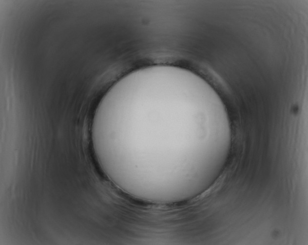 X0000102470074200808081019