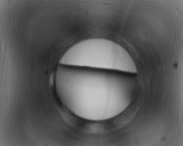 X0000102470075200808081019