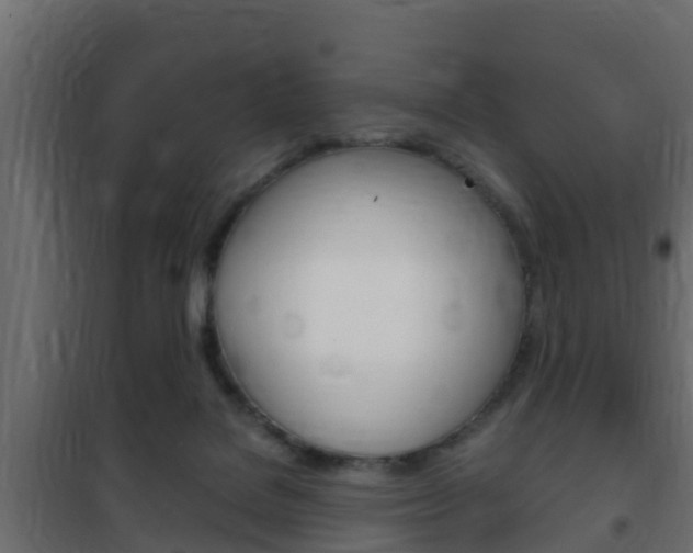 X0000102470076200808081019