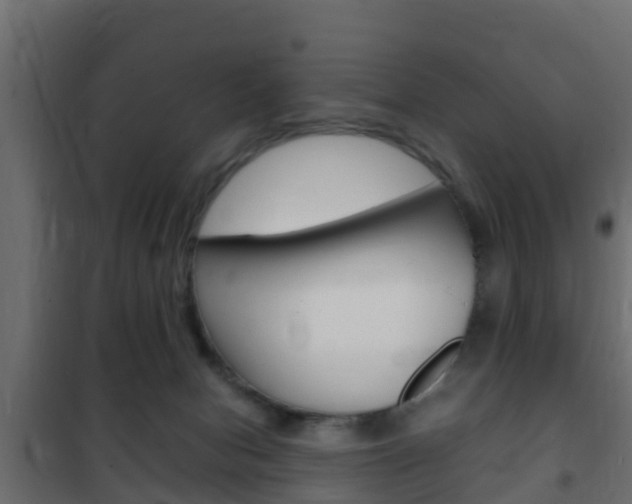 X0000102470078200808081019