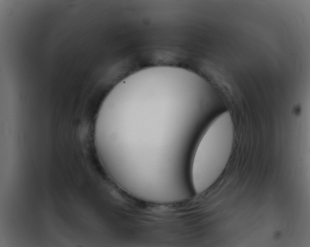 X0000102470079200808081019
