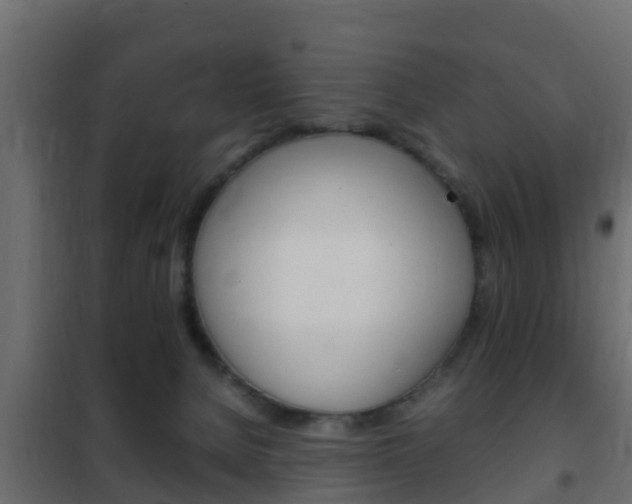 X0000102470080200808081019