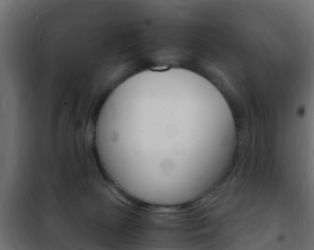 X0000102470081200808081019