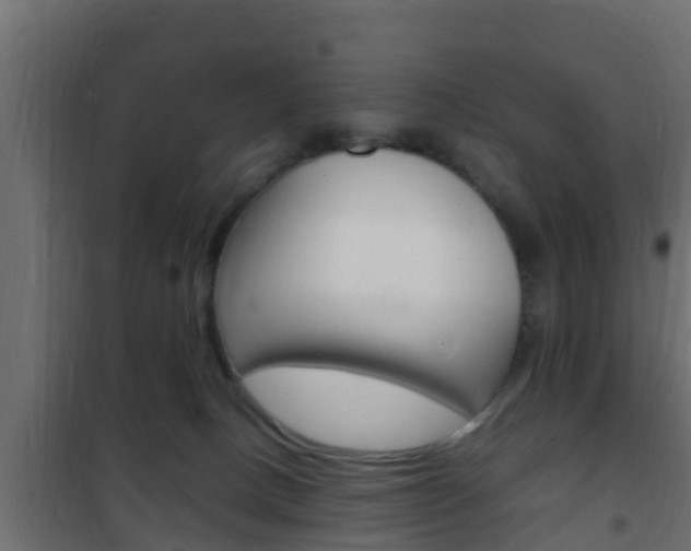 X0000102470082200808081019