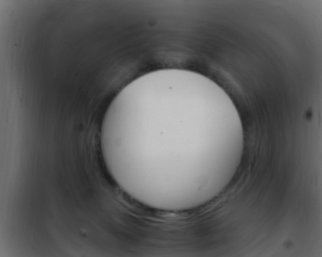 X0000102470083200808081019