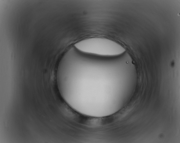 X0000102470084200808081019