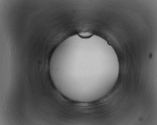 X0000102470085200808081019