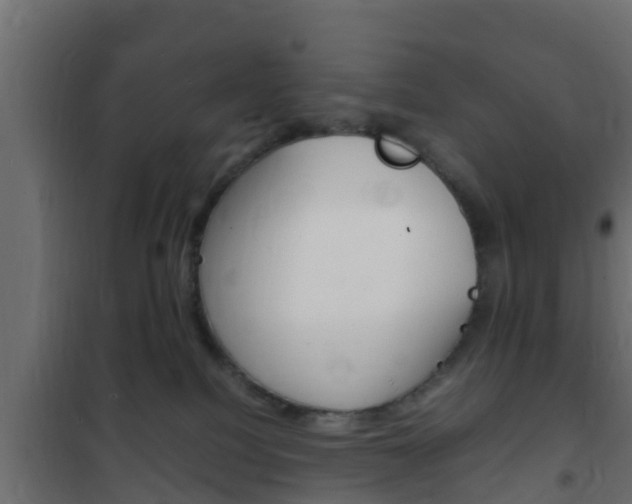 X0000102470088200808081019