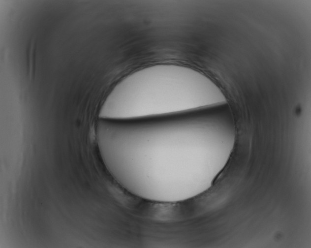 X0000102470089200808081019