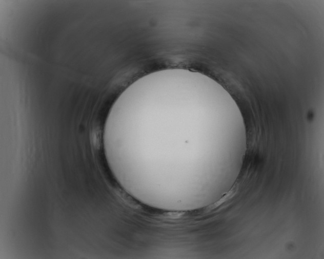 X0000102470090200808081019