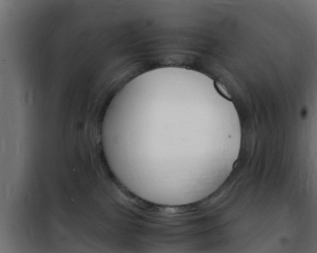 X0000102470091200808081019