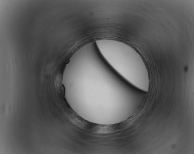 X0000102470093200808081019