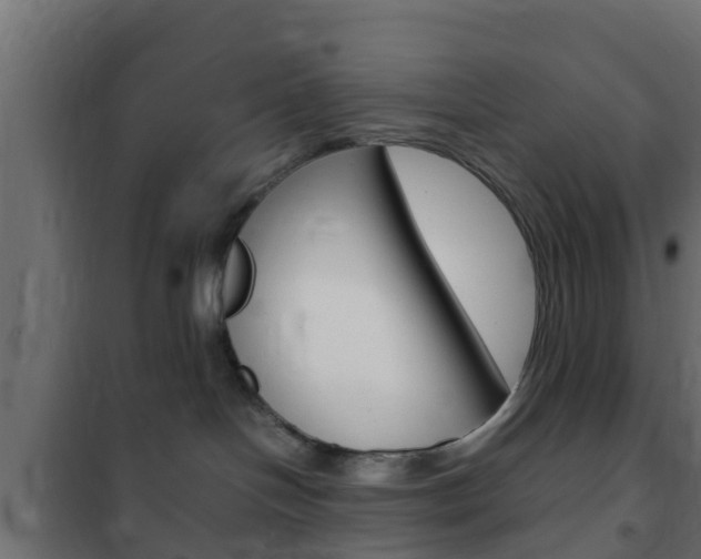 X0000102470094200808081019