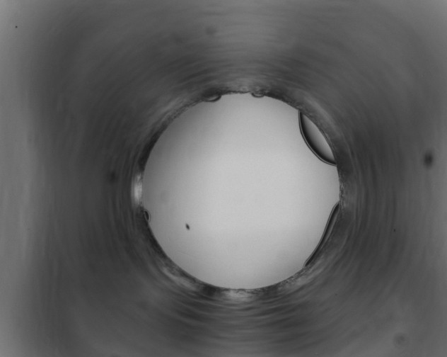 X0000102470095200808081019