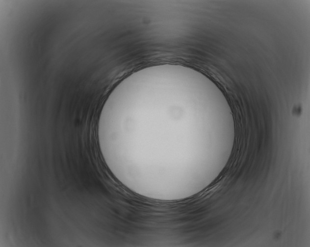 X0000102470096200808081019