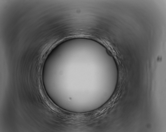 X0000102470097200808081019