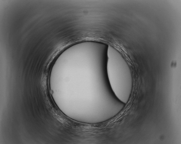 X0000102470098200808081019