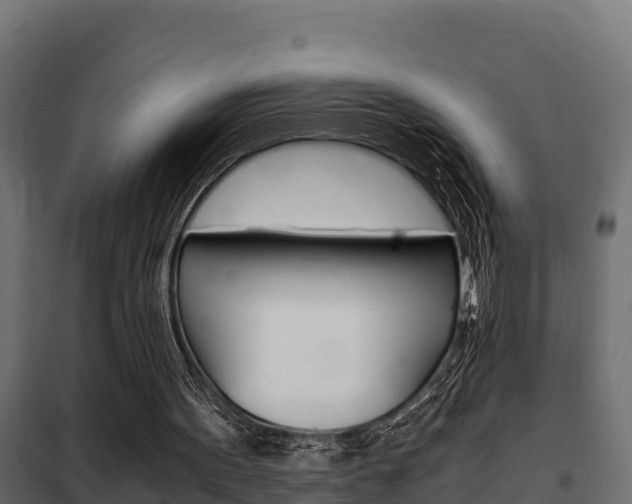 X0000102470099200808081019