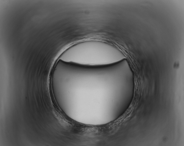 X0000102470100200808081019