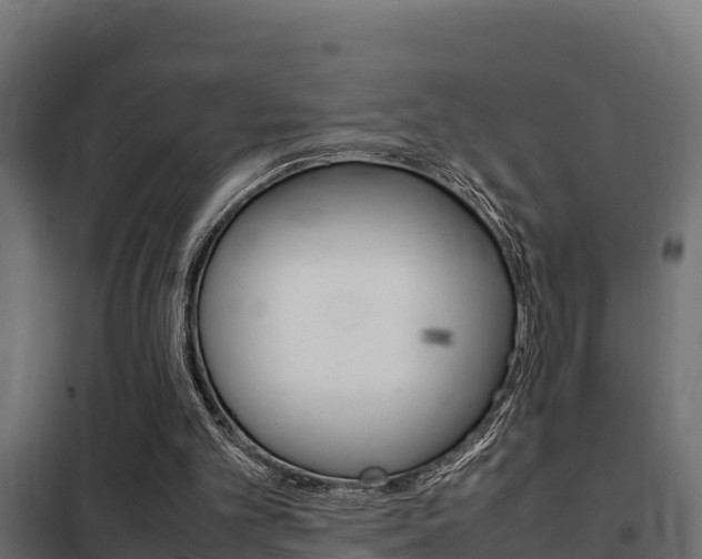 X0000102470101200808081019