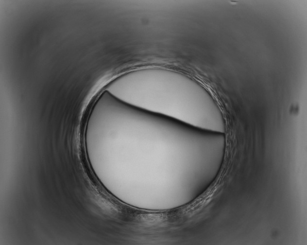 X0000102470102200808081019