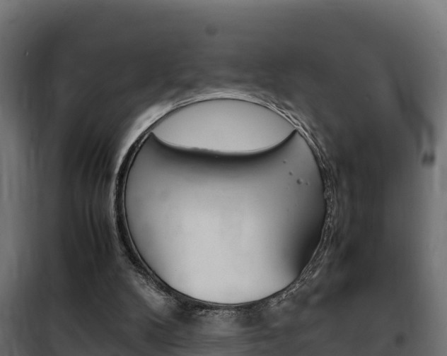X0000102470104200808081019