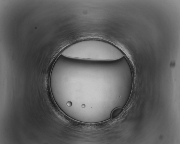 X0000102470105200808081019