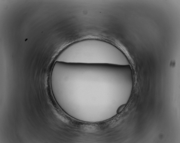 X0000102470106200808081018