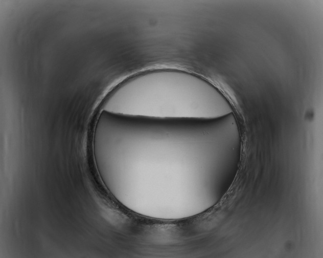 X0000102470108200808081018