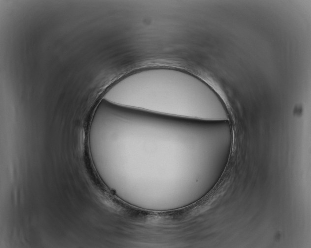 X0000102470109200808081018