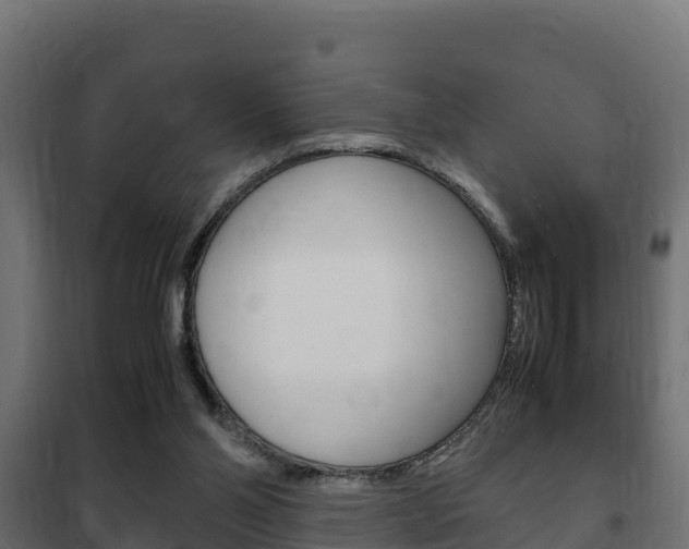 X0000102470110200808081018