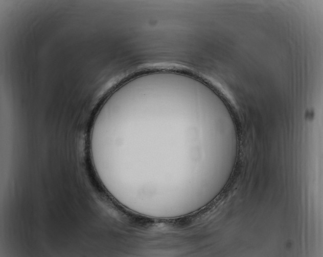 X0000102470111200808081018